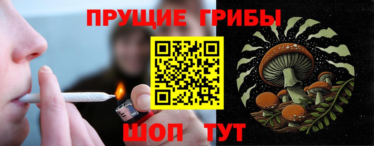 Галлюциногенные грибы MAGIC MUSHROOMS Сухой Лог