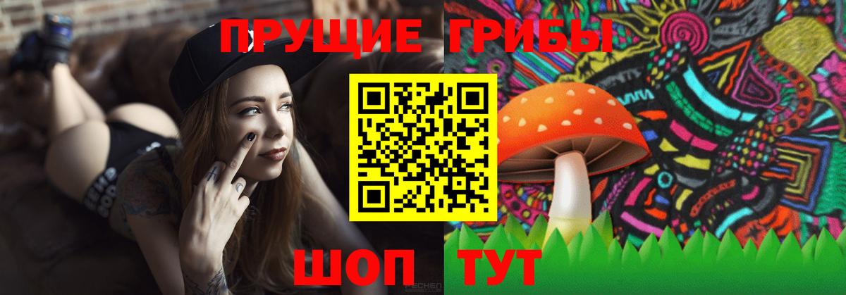 Псилоцибиновые грибы прущие грибы  Псилоцибиновые грибы ЛСД  Вход с VPN  Сухой Лог 